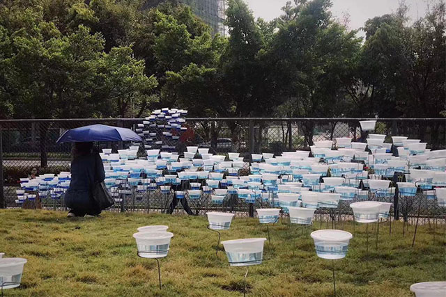 bw必威西汉姆联